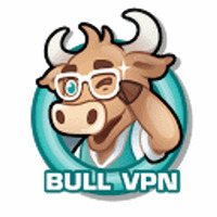 BullVPN logo